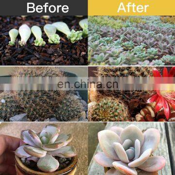 Hot New Led Grow Lamp Bulb for Indoor Plants, 90 LEDs Auto ON/Off Timer Sunlike Full Spectrum Grow Light photo-6