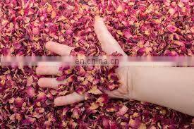 Rose Dried Bouquet Organic/red Dried Rose Beds and Petals Reds/dried Rose Buds for Cosmetics Foods Medicine From Vietnam photo-5