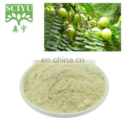 naure product Amla Extract amla powder