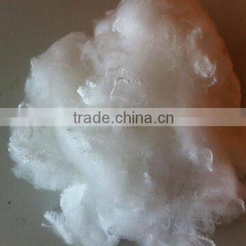 Virgin polyester staple fiber