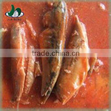 Best quality delicious canned wholesale mackerel