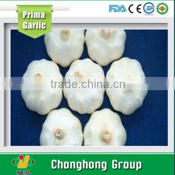 High Quality 2015 New Crop Natural Garlics