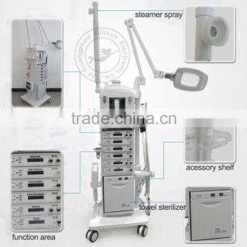 Hotsale 17 in 1 Multifunction Skin Care Beauty Salon Machine DIY-1001 Quality Choice