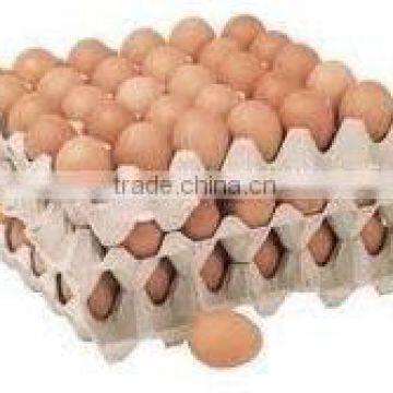 30 Eco-friendly Paper Pulp Egg Tray photo-2