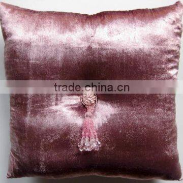 Velvet Cushion