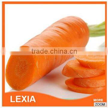 New Crop Fresh Red Carrots