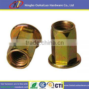 Flat Head Hex Rivet Nut