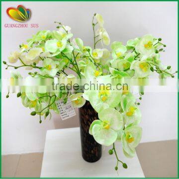 Wholesale Orchid Flower for Home Decoration