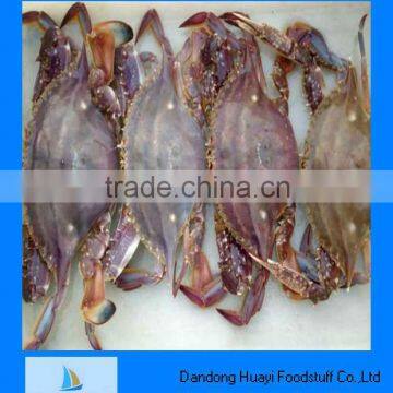 High quality frozen baby blue crabs