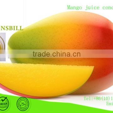 soft drink Mango juice Concentrator