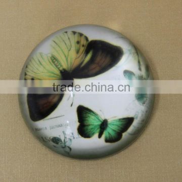 beautiful crystal butterfly paperweight