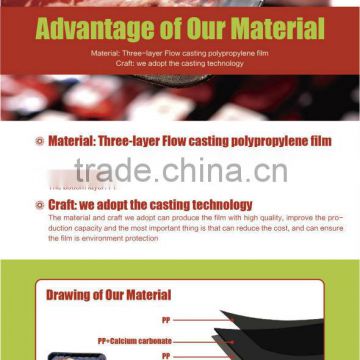 Eco-friendly China Gold Supplier OEM Accept Plastic Packaging For Frozen Food