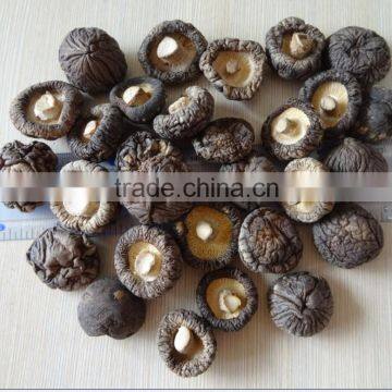 Dried Shiitake GRADE A ( CAP 2-4 CM )