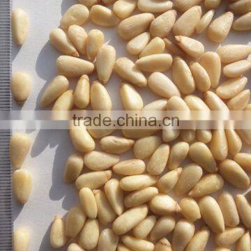 Jilin Painuo HSB Big Korean Pine Nut Kernels 100g/600pellets Chang Bai Mountain Pine Nut Kernels OEM