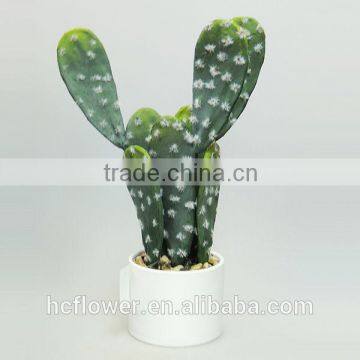 New style ceramic pot cactus for home decoration