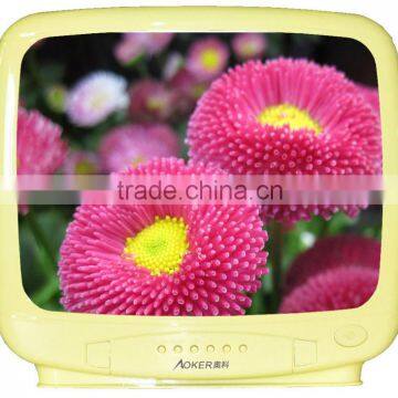 14 inch color CRT TV SKD 1