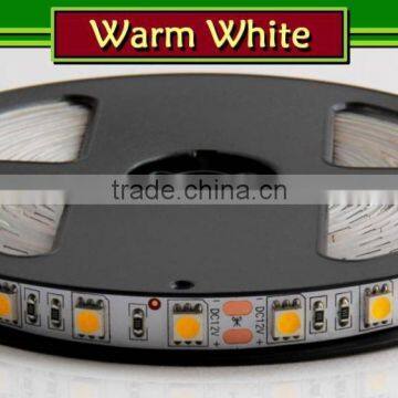 LED Strip Singil Color 60leds/m, 14.4w/m. 12V/24V Available photo-3