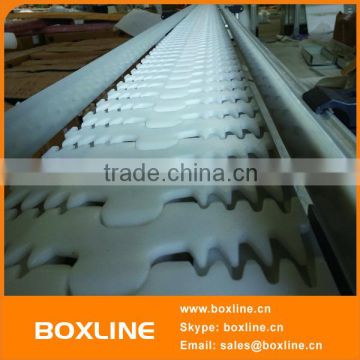 BOXLINE high quality chain belt conveyor