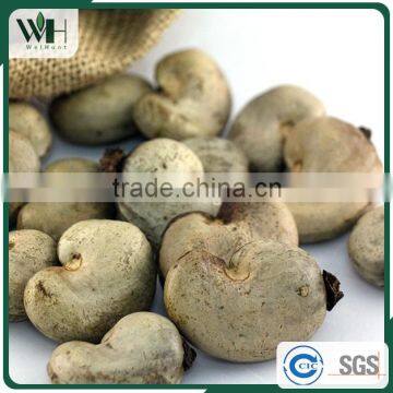 Grade A Southeast Asia Cashew Kernel in Shell photo-3