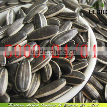 2014 Inner Mongolia best price 5009 Sunflower Seeds 24/64 bulk packing in 25kg pp bag