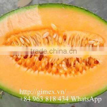 VIETNAM FRESH SWEET HAMI MELON