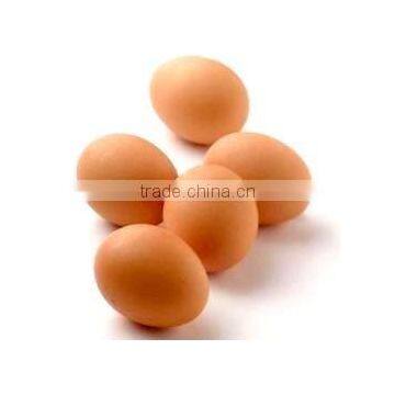 VIET NAM BROWN CHICKEN EGGS