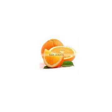 Narrative Kind Citrus Orange From Egypt