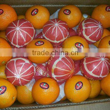 Pallets for Egyptian Oranges