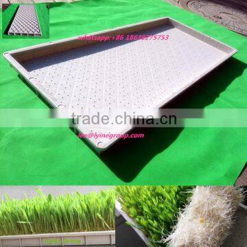 seed tray plastic seed tray propagation trays