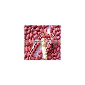 Good Quality Red Skin Peanut Kernels photo-3