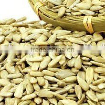 organic bulk sunflower kernels big size facotry sell to buyers