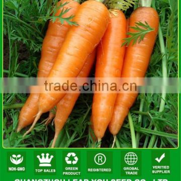 NCA07 Caitou carrot seeds price Guangzhou