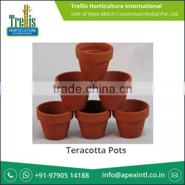 Top Famous Stylish Teracotta Pots Price