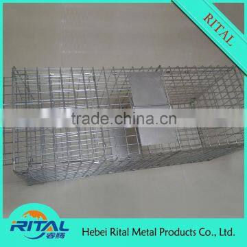 New Model Eco-friendly Large Automatic Mouse Trap photo-4