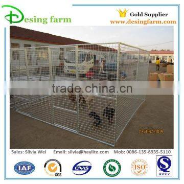 High quality dog kennels and runs