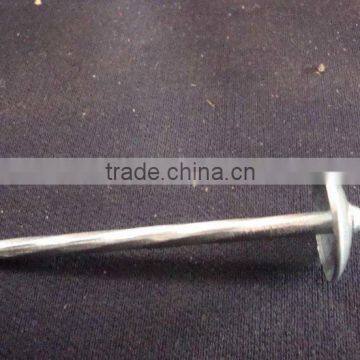 Galvanized Screw Shank Roofing Nails