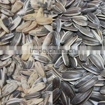 Best Price Cereal CCD Color Sorter in China Manufacture photo-6
