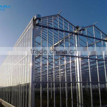 Glavanized Steel Structure Glass Covered Greenhouse photo-4