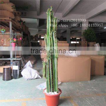 CHY030930 Landscaping Cactus Plant With Flowers/indoor Plastic Succulent Plant photo-2