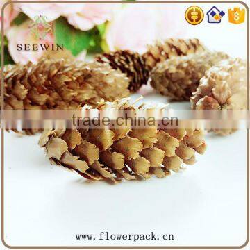 Pine nuts series of natural flowered bark engraving