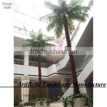 Huge Indoor Ornament Palm Trees Wholesale Fake Palm Tree photo-6