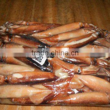 Frozen whole round illex squid