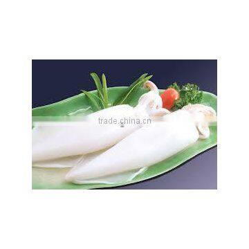 Frozen Whole Round Squid/ Frozen Squid/ Vietnam Seafood photo-2
