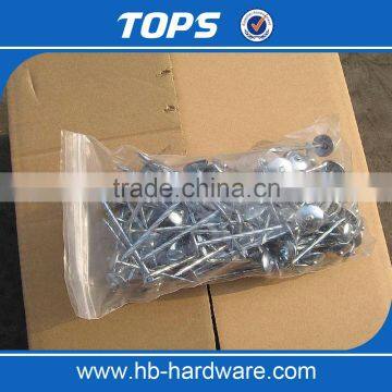 Different Types of Umbrella Roofing Nails With Good Price photo-2