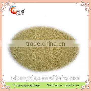 Low Sugar Instant Bakery Active Dry Yeast photo-5