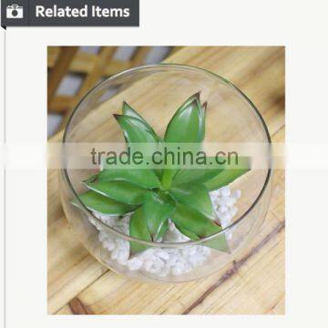 Mini Potted Succulents Flowering Succulent Plants Preserved Mini Succulent Plants Bonsai photo-5