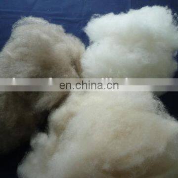 dehaired and carded mongolia goat cashmere fibres