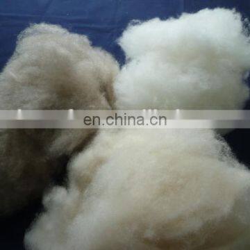 Dehaired and Carded Mongolia Goat Cashmere Fibres