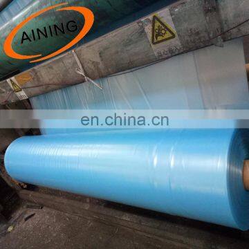 Green Color Agricultural Plastic Greenhouse Film For Vegetables in Middle East Market photo-4