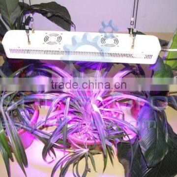 HL-G80A Led Grow Lights for Plants photo-4